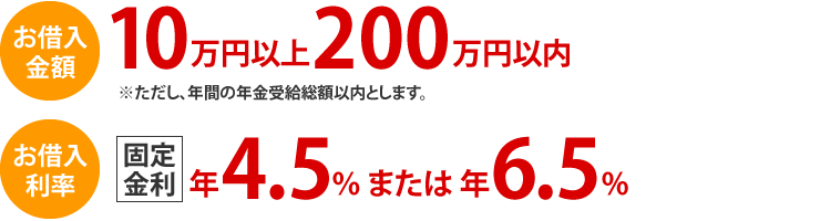お借入金額10万円以上200万円以内。※ただし年金受給総額以内とします。お借入利率固定金利年4.5%または年6.5%。